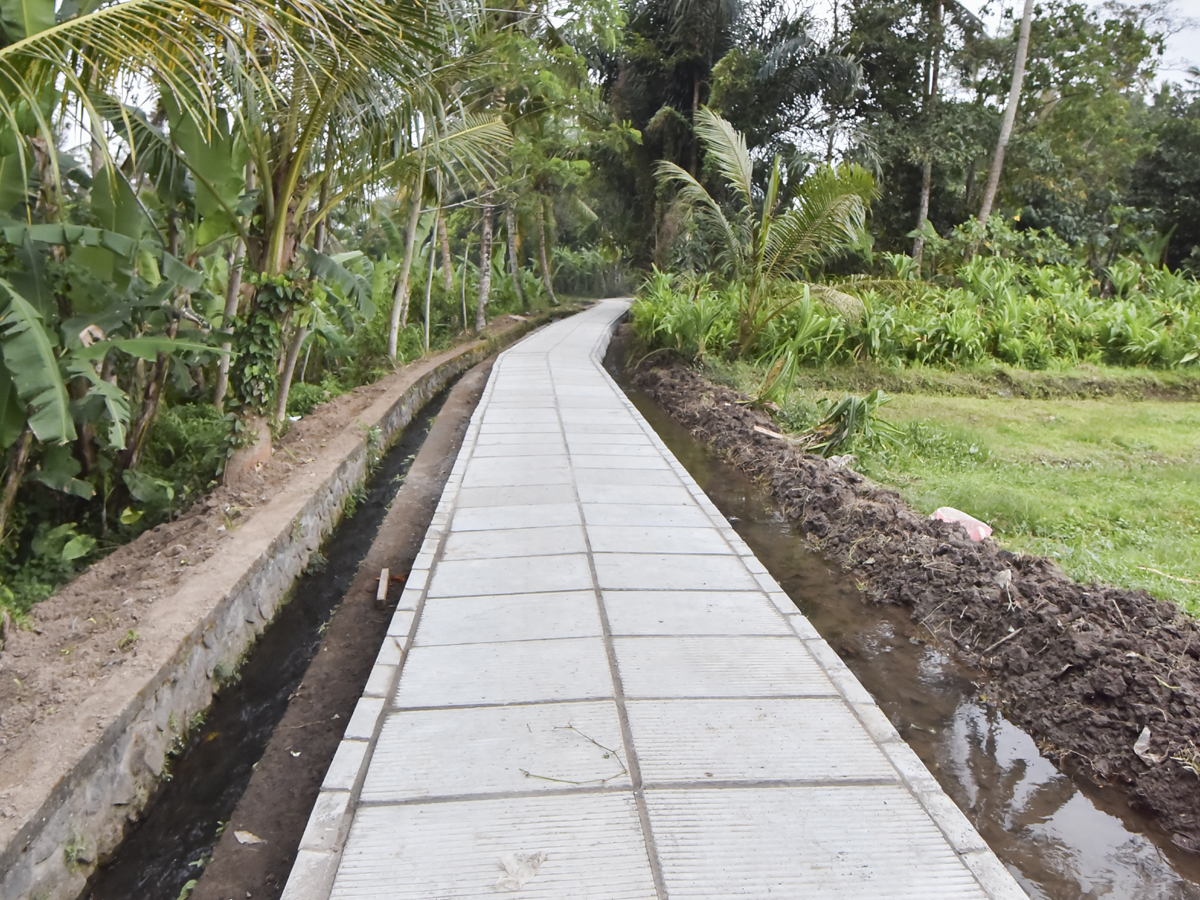 Jalan Usaha Tani (JUT) - Mengwi Bali