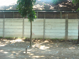 Pagar Kuwak Kediri 6